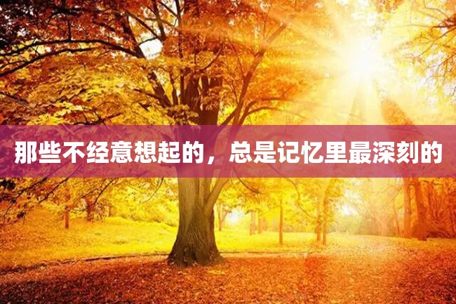 那些不经意想起的,总是记忆里最深刻的