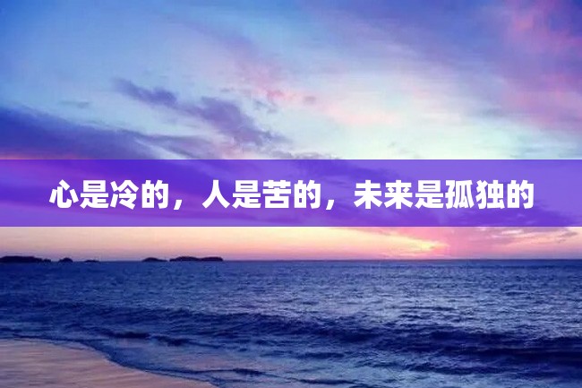 心是冷的,人是苦的,未来是孤独的