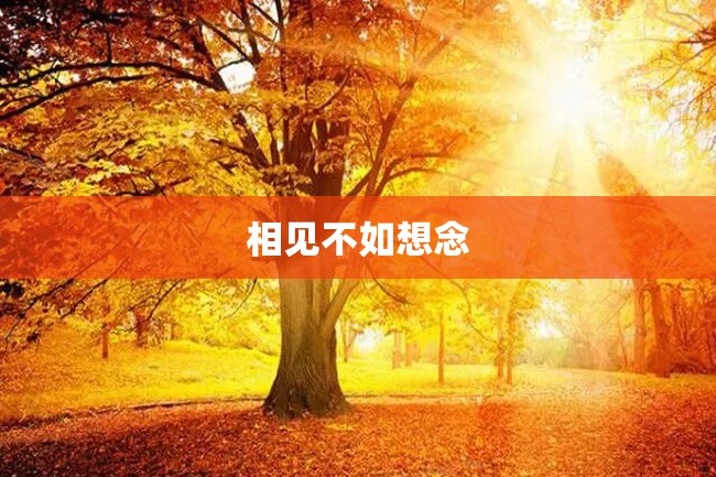 相见不如想念