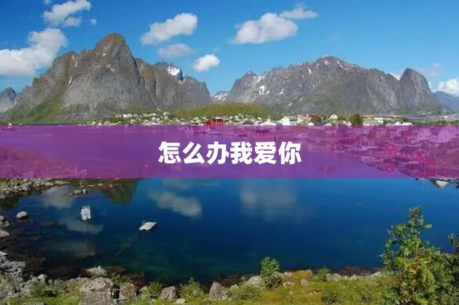 怎么办我爱你
