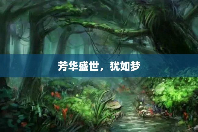 芳华盛世,犹如梦