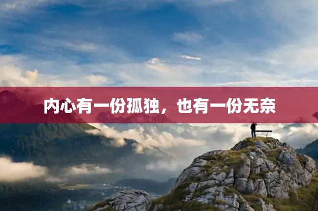 内心有一份孤独,也有一份无奈