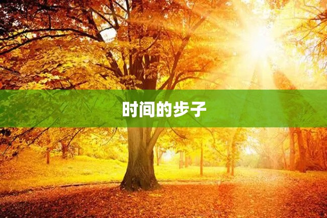 时间的步子
