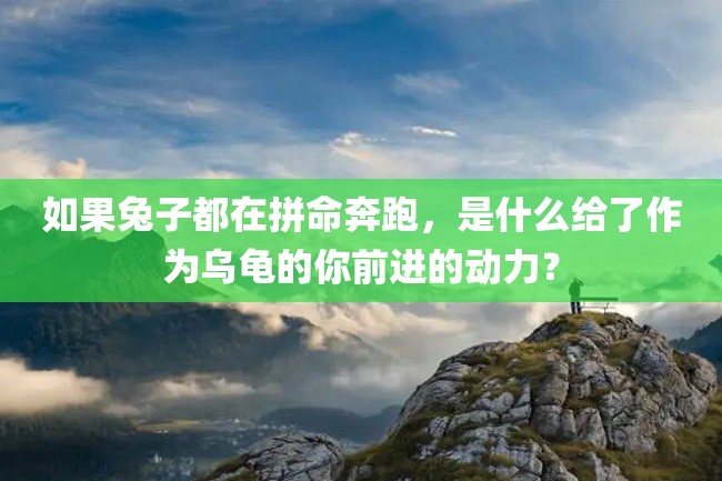 如果兔子都在拼命奔跑,是什么给了作为乌龟的你前进的动力?