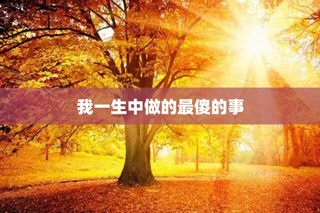 我一生中做的最傻的事