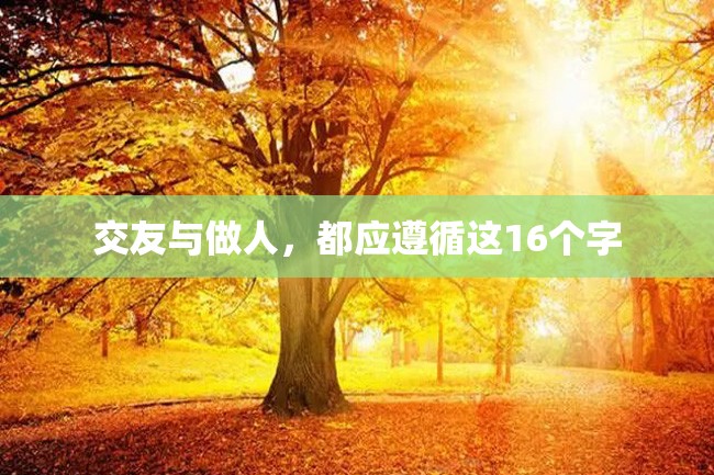 交友与做人,都应遵循这16个字