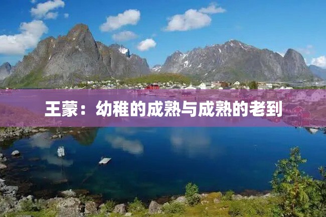 王蒙:幼稚的成熟与成熟的老到