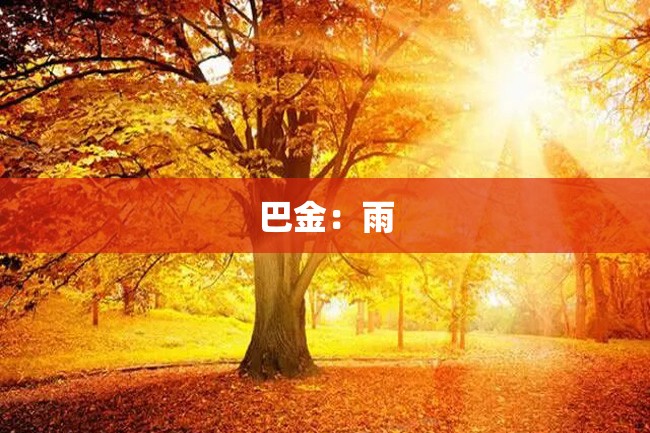 巴金:雨