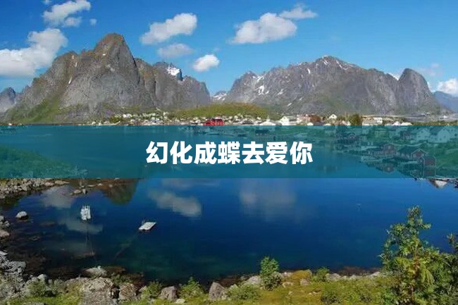幻化成蝶去爱你