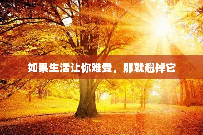 如果生活让你难受,那就翘掉它