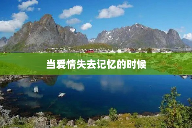 当爱情失去记忆的时候