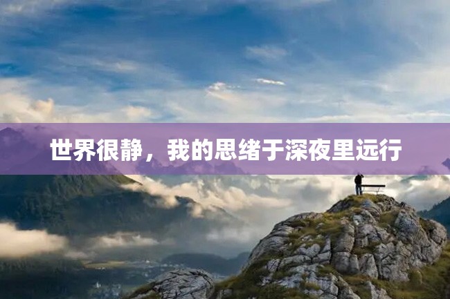 世界很静,我的思绪于深夜里远行