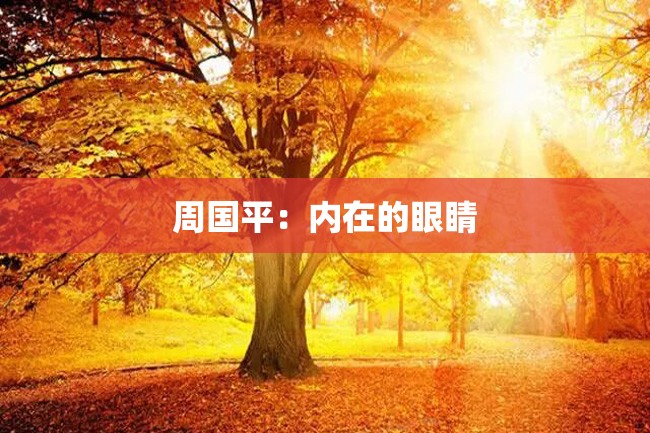 周国平:内在的眼睛