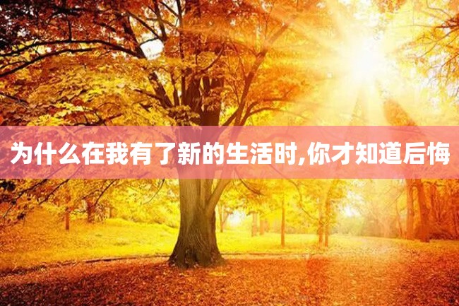 为什么在我有了新的生活时,你才知道后悔