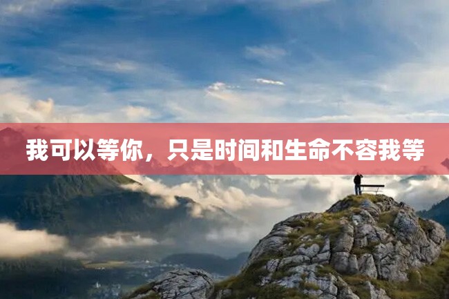 我可以等你,只是时间和生命不容我等
