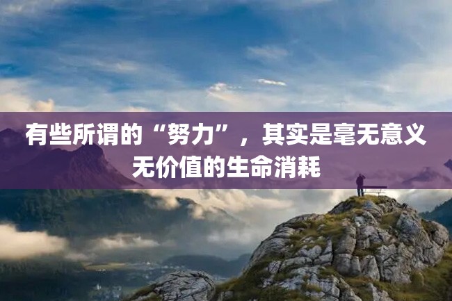 有些所谓的“努力”,其实是毫无意义无价值的生命消耗
