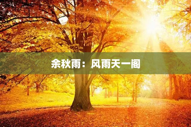 余秋雨:风雨天一阁