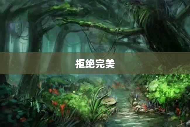 拒绝完美