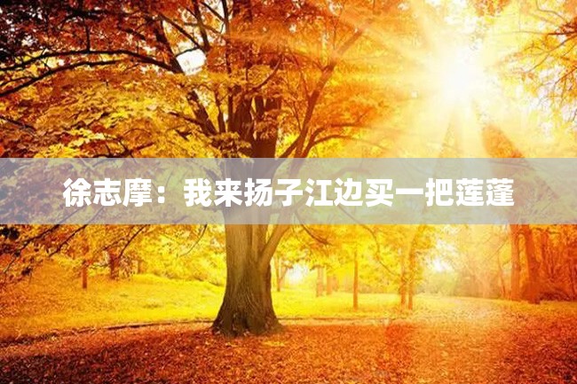 徐志摩:我来扬子江边买一把莲蓬