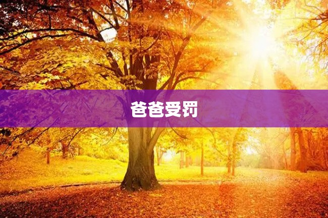 爸爸受罚