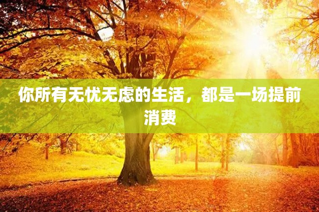 你所有无忧无虑的生活,都是一场提前消费