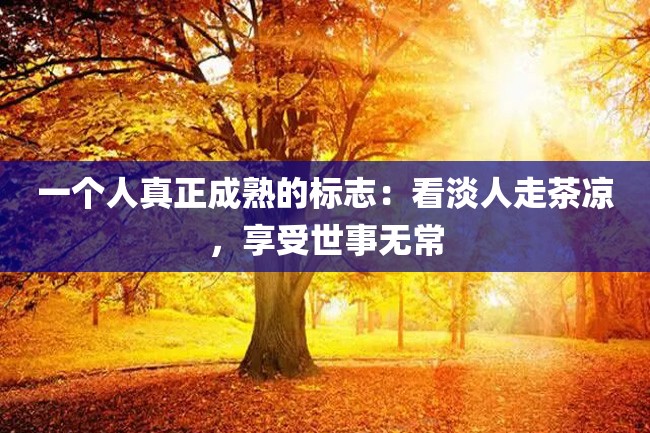 一个人真正成熟的标志:看淡人走茶凉,享受世事无常