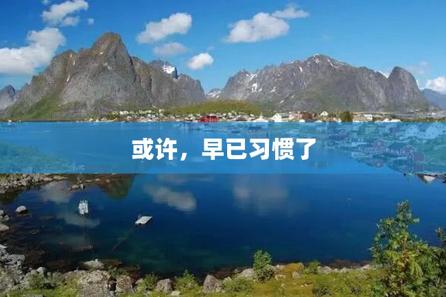 或许,早已习惯了