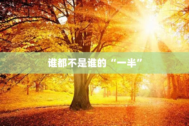谁都不是谁的“一半”
