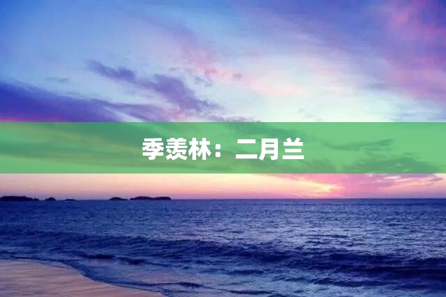 季羡林:二月兰