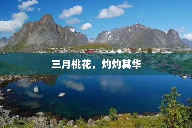 三月桃花,灼灼其华