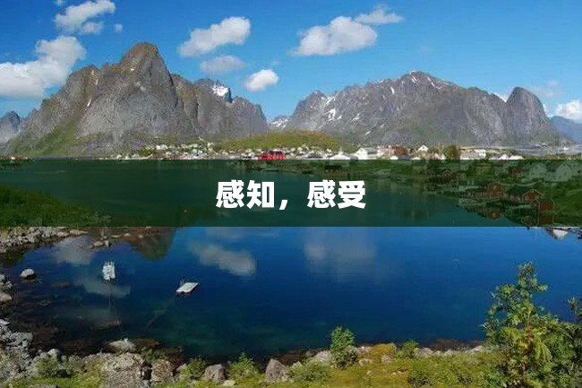 感知,感受