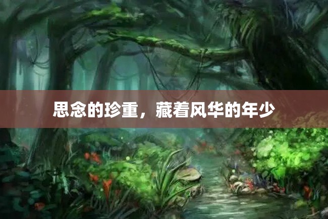 思念的珍重,藏着风华的年少