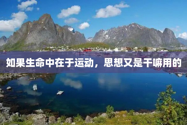如果生命中在于运动,思想又是干嘛用的