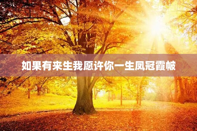 如果有来生我愿许你一生凤冠霞帔