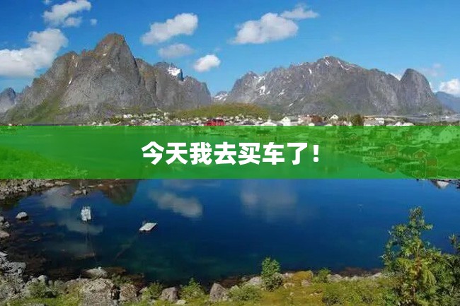 今天我去买车了!