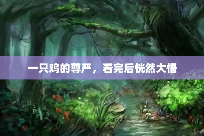 一只鸡的尊严,看完后恍然大悟