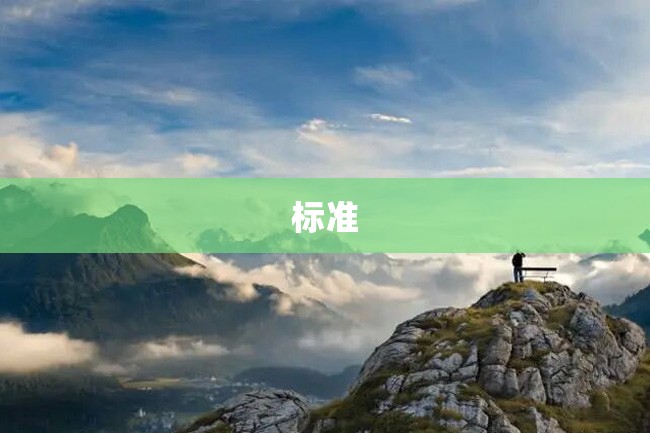 标准