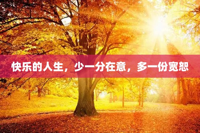 快乐的人生,少一分在意,多一份宽恕