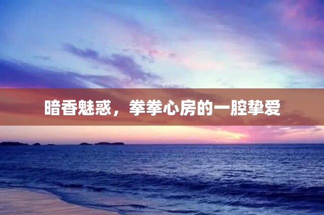 暗香魅惑,拳拳心房的一腔挚爱