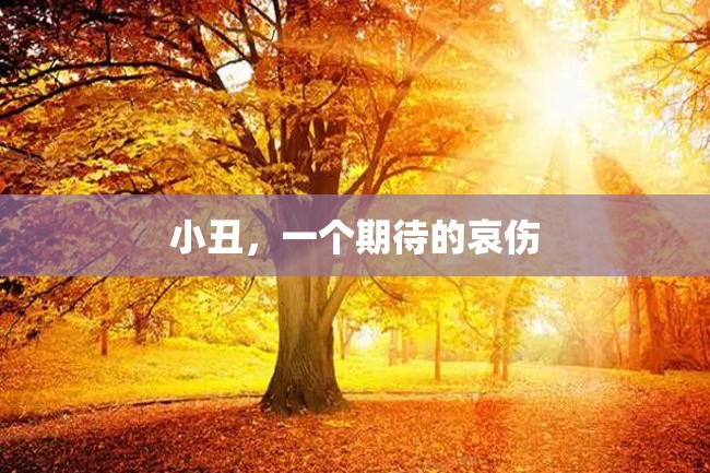 小丑,一个期待的哀伤