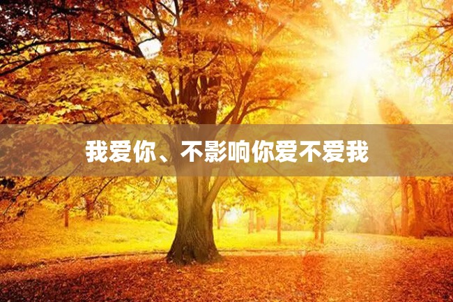 我爱你、不影响你爱不爱我