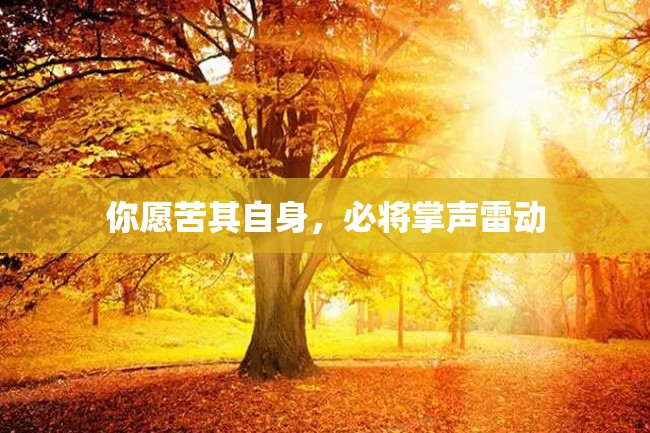 你愿苦其自身，必将掌声雷动