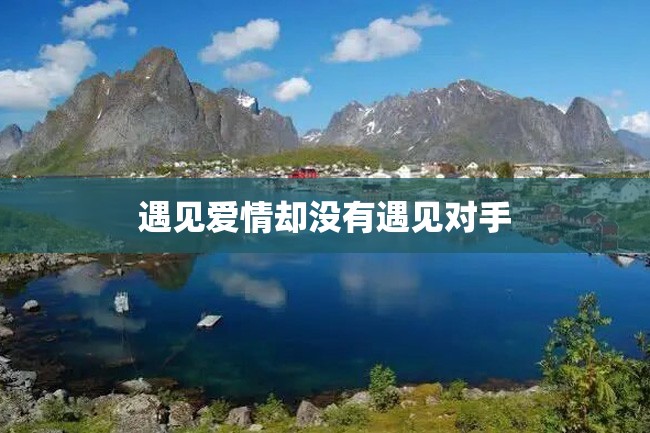 遇见爱情却没有遇见对手