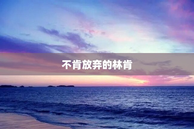 不肯放弃的林肯