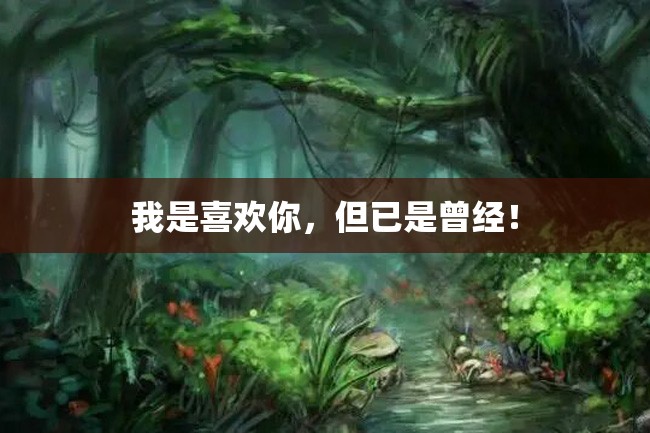 我是喜欢你,但已是曾经!