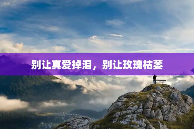 别让真爱掉泪,别让玫瑰枯萎