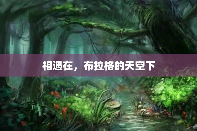 相遇在,布拉格的天空下