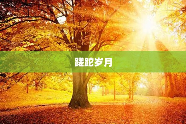 蹉跎岁月