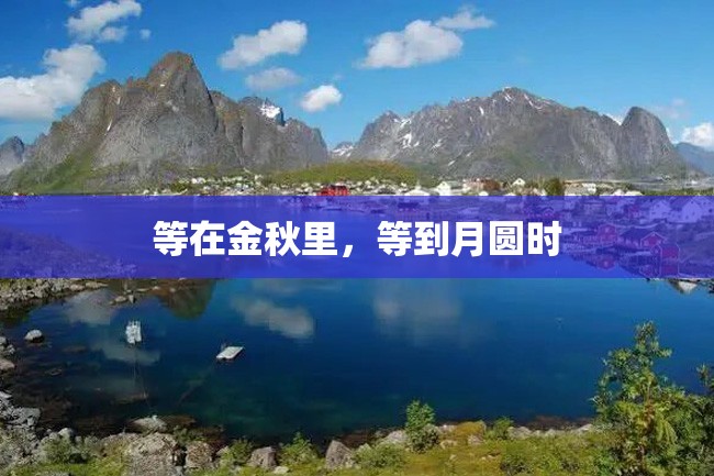 等在金秋里,等到月圆时