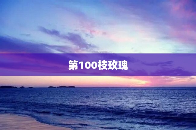 第100枝玫瑰
